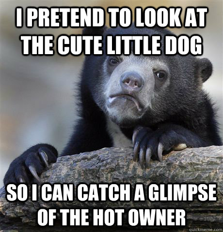 I pretend to look at the cute little dog So I can catch a glimpse of the hot owner - I pretend to look at the cute little dog So I can catch a glimpse of the hot owner  Confession Bear