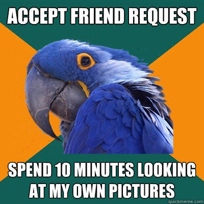 accept friend request spend 10 minutes looking at my own pictures - accept friend request spend 10 minutes looking at my own pictures  Paranoid Parrot