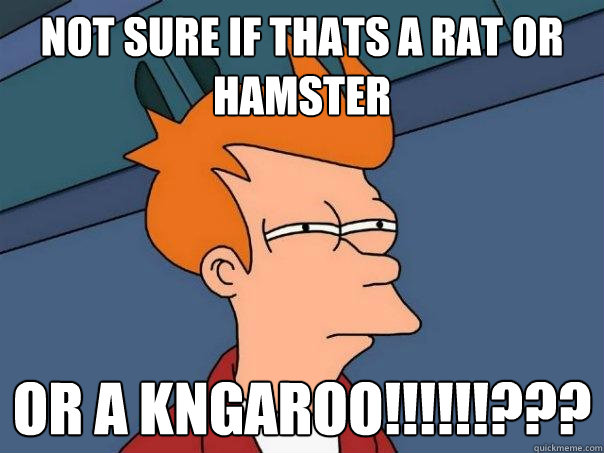 not sure if thats a rat or hamster Or a kngaroo!!!!!!???
 - not sure if thats a rat or hamster Or a kngaroo!!!!!!???
  Futurama Fry