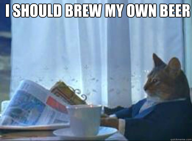 I should brew my own beer   I should buy a boat cat