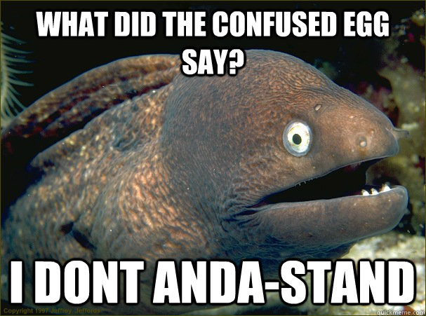 what did the confused egg say? i dont anda-stand - what did the confused egg say? i dont anda-stand  Bad Joke Eel