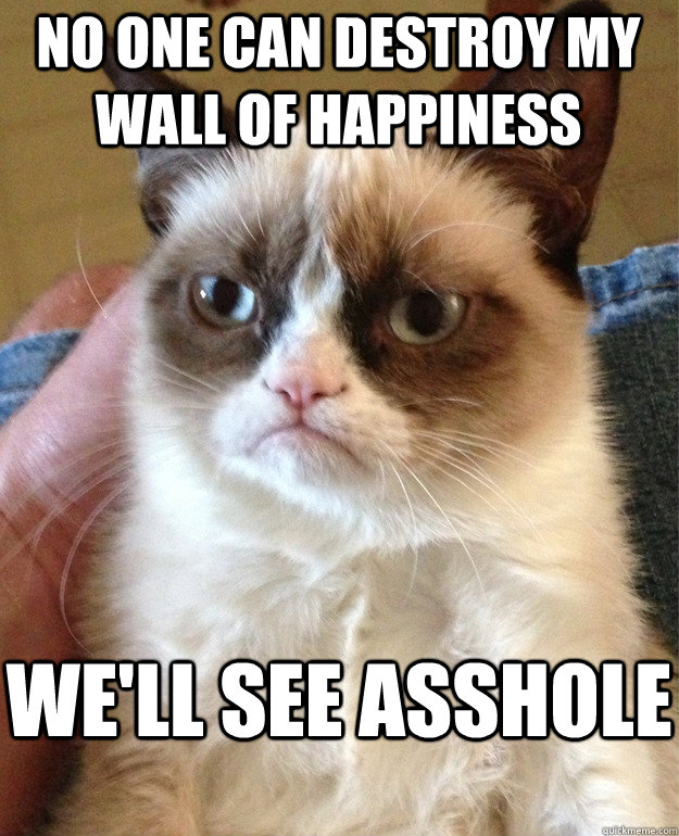 No one can destroy my wall of happiness  we'll see asshole - No one can destroy my wall of happiness  we'll see asshole  Grumpy Cat