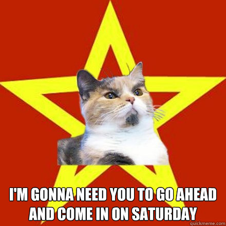  i'm gonna need you to go ahead and come in on Saturday  Lenin Cat