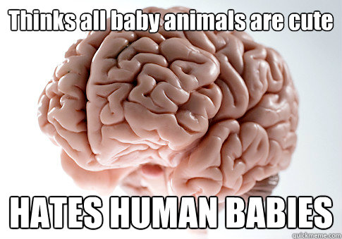 Thinks all baby animals are cute HATES HUMAN BABIES   Scumbag Brain