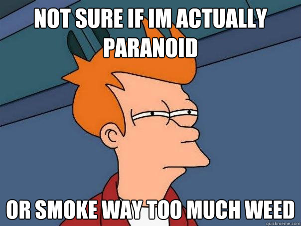 Not sure if im actually paranoid Or smoke way too much weed   Futurama Fry