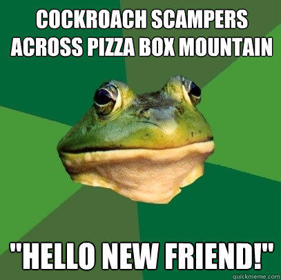 Cockroach scampers across pizza box mountain 