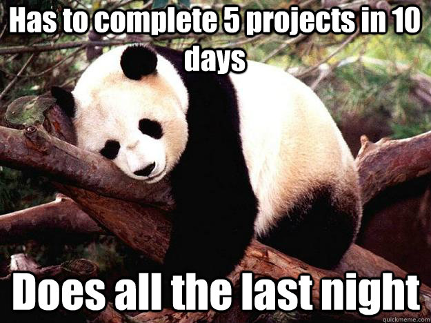 Has to complete 5 projects in 10 days Does all the last night  Procrastination Panda