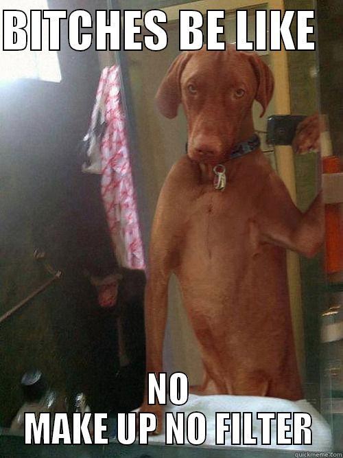 DOG MEME - BITCHES BE LIKE    NO MAKE UP NO FILTER Misc