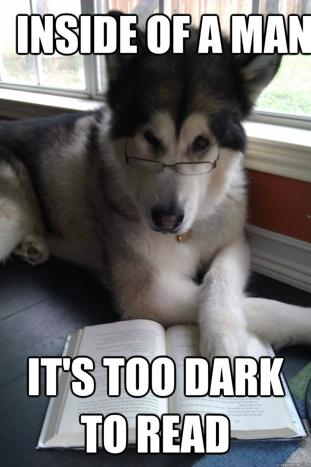 Inside of a Man It's too dark to read  Condescending Literary Pun Dog