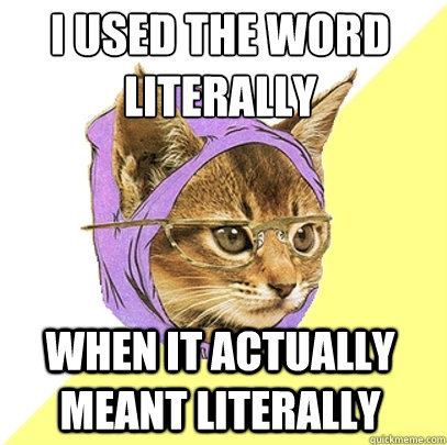 i used the word literally when it actually meant literally  Hipster Kitty