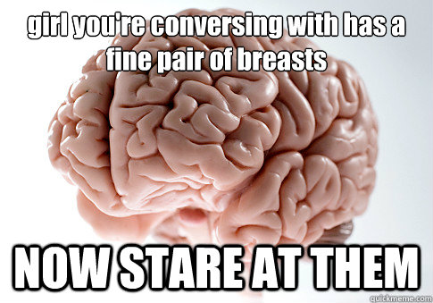 girl you're conversing with has a fine pair of breasts NOW STARE AT THEM   Scumbag Brain