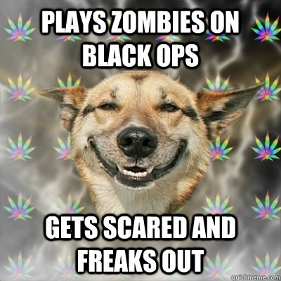 Plays zombies on Black Ops Gets scared and freaks out  Stoner Dog