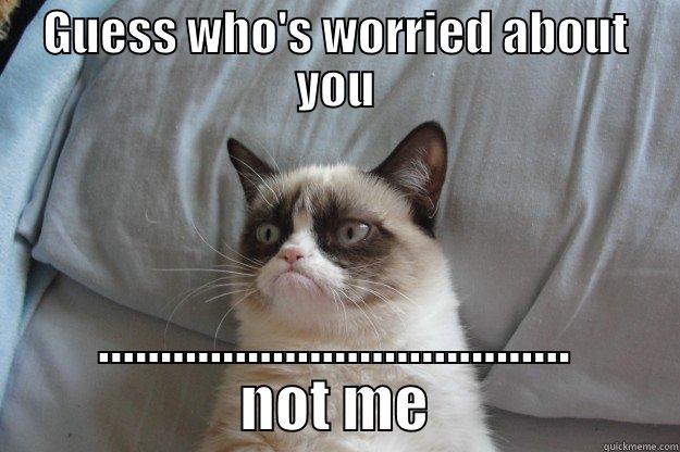 You want to know a secret... - GUESS WHO'S WORRIED ABOUT YOU ...................................... NOT ME Grumpy Cat