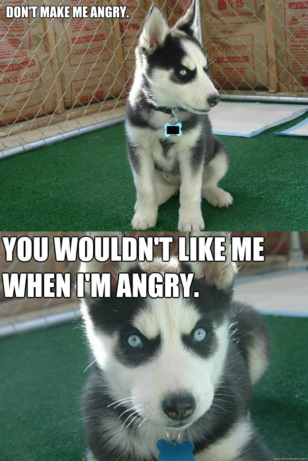 don't make me angry. You wouldn't like me when I'm angry. - don't make me angry. You wouldn't like me when I'm angry.  Insanity puppy