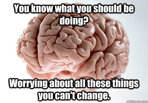 You know what you should be doing? Worrying about all these things you can't change.   Scumbag Brain