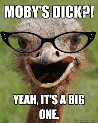 MOBY'S DICK?! Yeah, it's a big one.  Judgmental Bookseller Ostrich