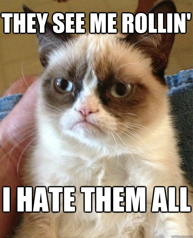 they see me rollin' i hate them all  Grumpy Cat