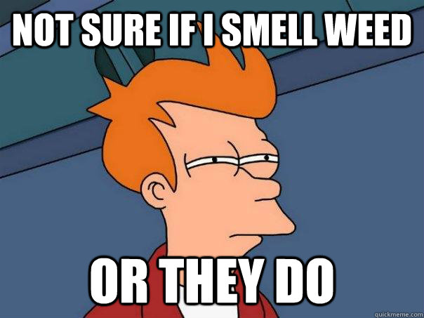 Not sure if i smell weed Or they do  Futurama Fry