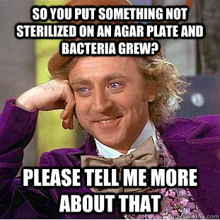 So you put something not sterilized on an agar plate and bacteria grew?  please tell me more about that - So you put something not sterilized on an agar plate and bacteria grew?  please tell me more about that  Condescending Wonka