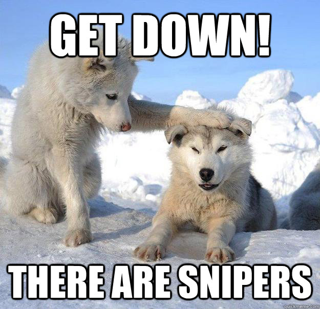 Get down! there are snipers  Caring Husky