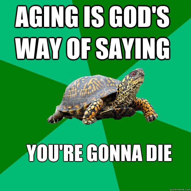 Aging is god's way of saying you're gonna die

  Torrenting Turtle