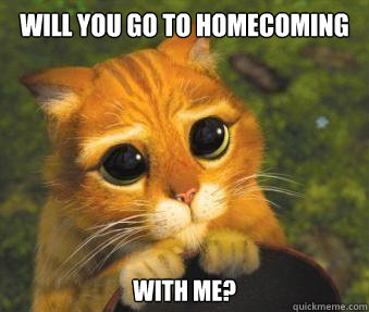 will you go to homecoming with me? - will you go to homecoming with me?  Puss in boots