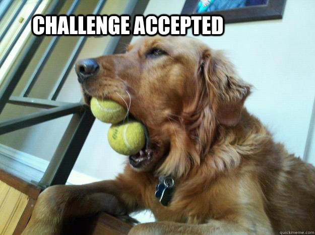  challenge accepted -  challenge accepted  Challenge Accepted