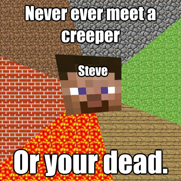 Never ever meet a creeper  Or your dead. Steve  Minecraft