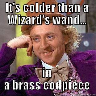 IT'S COLDER THAN A WIZARD'S WAND... IN A BRASS CODPIECE Condescending Wonka