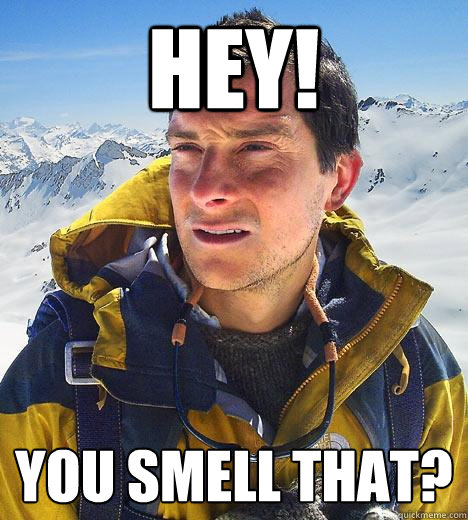 Hey! You smell that?  Bear Grylls