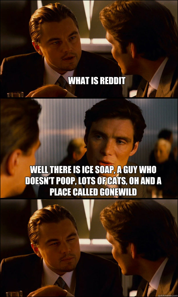 What is Reddit Well there is ice soap, a guy who doesn't poop, lots of cats, oh and a place called gonewild   Inception