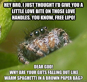 Hey Bro, I just thought I'd give you a little love bite on those love handles. You know, free lipo! dear god!
 Why are your guts falling out like warm spaghetti in a brown paper bag?  Misunderstood Spider