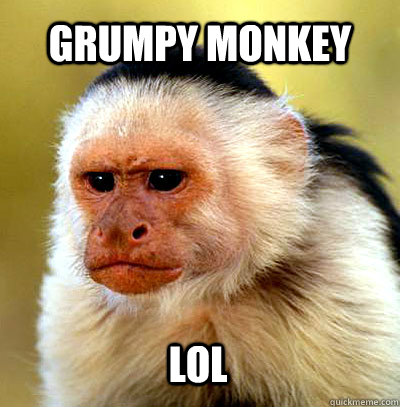 Grumpy monkey lol - Grumpy monkey lol  grumpy monkey