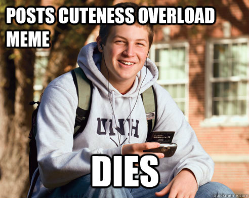 Posts cuteness overload meme dies  College Freshman