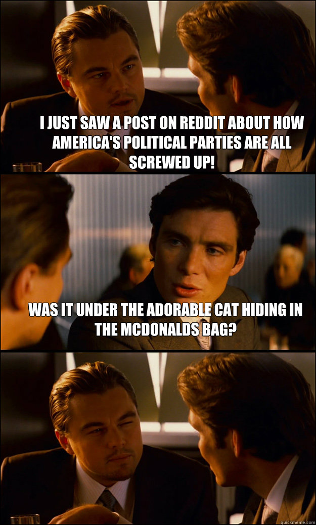 I just saw a post on reddit about how America's political parties are all screwed up! Was it under the adorable cat hiding in the McDonalds bag?   Inception