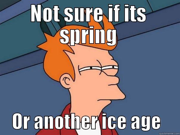 NOT SURE IF ITS SPRING     OR ANOTHER ICE AGE     Futurama Fry