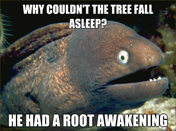 Why couldn't the tree fall asleep? He had a root awakening  Bad Joke Eel