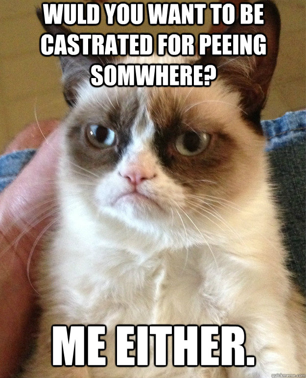 wuld you want to be castrated for peeing somwhere? me either.  Grumpy Cat