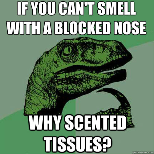 If you can't smell with a blocked nose Why scented tissues?  Philosoraptor