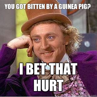 You got bitten by a guinea pig?
 I bet that hurt  Condescending Wonka