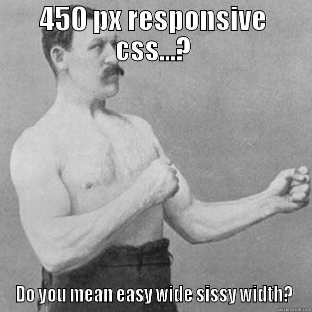 Responsive CSS - 450 PX RESPONSIVE CSS...? DO YOU MEAN EASY WIDE SISSY WIDTH? overly manly man