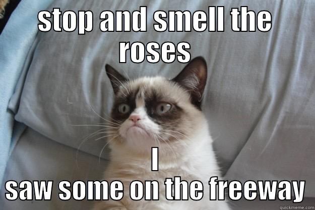 STOP AND SMELL THE ROSES I SAW SOME ON THE FREEWAY Grumpy Cat