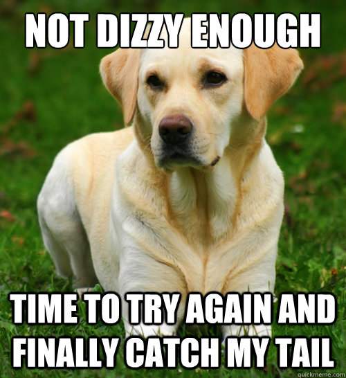 Not dizzy enough Time to try again and finally catch my tail  Dog Logic