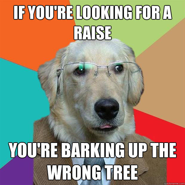 If you're looking for a raise You're barking up the wrong tree  Business Dog