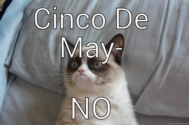 CINCO DE MAY- NO Grumpy Cat