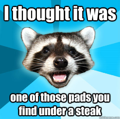 I thought it was one of those pads you find under a steak  Lame Pun Coon