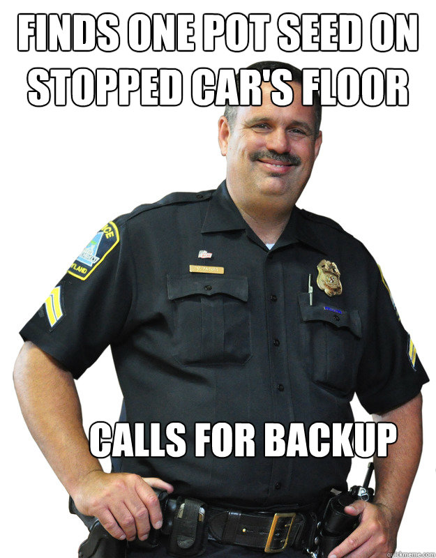 Finds one pot seed on stopped car's floor Calls for backup  Good Guy Cop