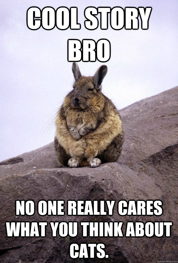 Cool story bro no one really cares what you think about cats.  Wise Wondering Viscacha