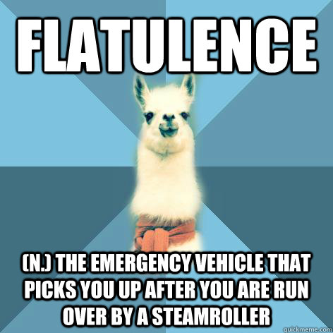 FLATULENCE (n.) The emergency vehicle that picks you up after you are run over by a steamroller  Linguist Llama