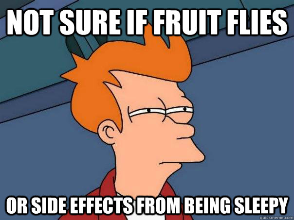 Not sure if fruit flies Or side effects from being sleepy  Futurama Fry